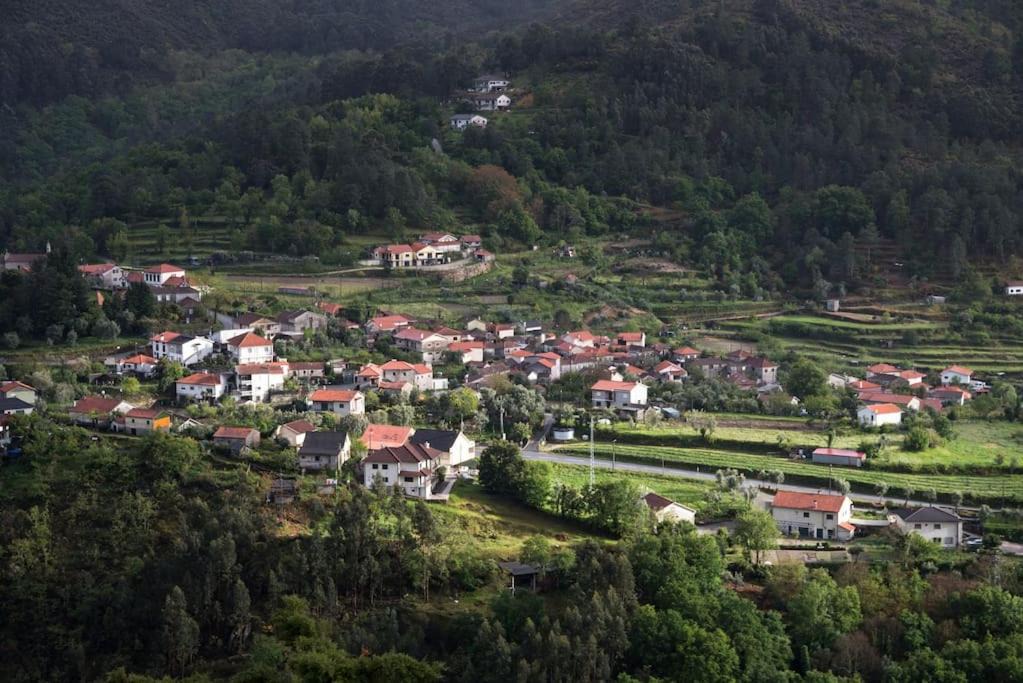 Photo of Others in Vinho