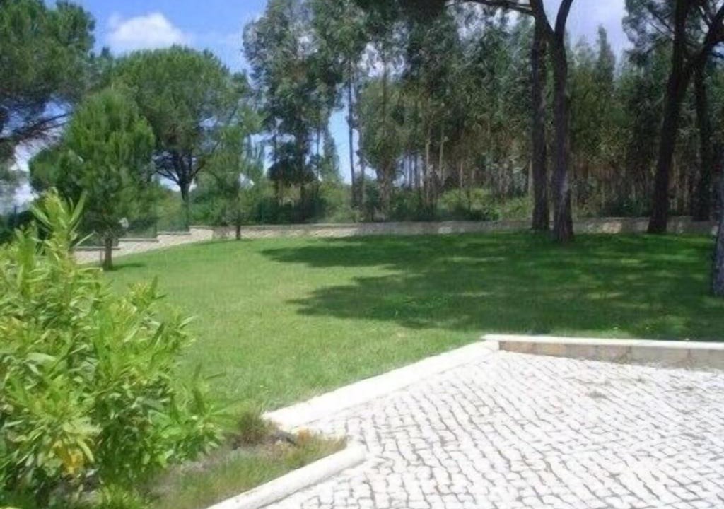 Photo of Others in Rio Maior