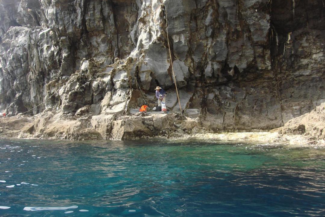 Photo of Others in Santa Cruz das Flores