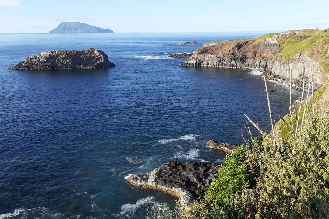 Photo of Others in Santa Cruz das Flores