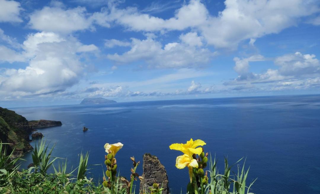 Photo of Others in Santa Cruz das Flores