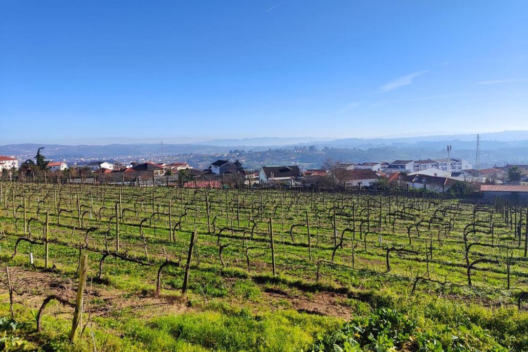 Photo of Outdoor in Felgueiras