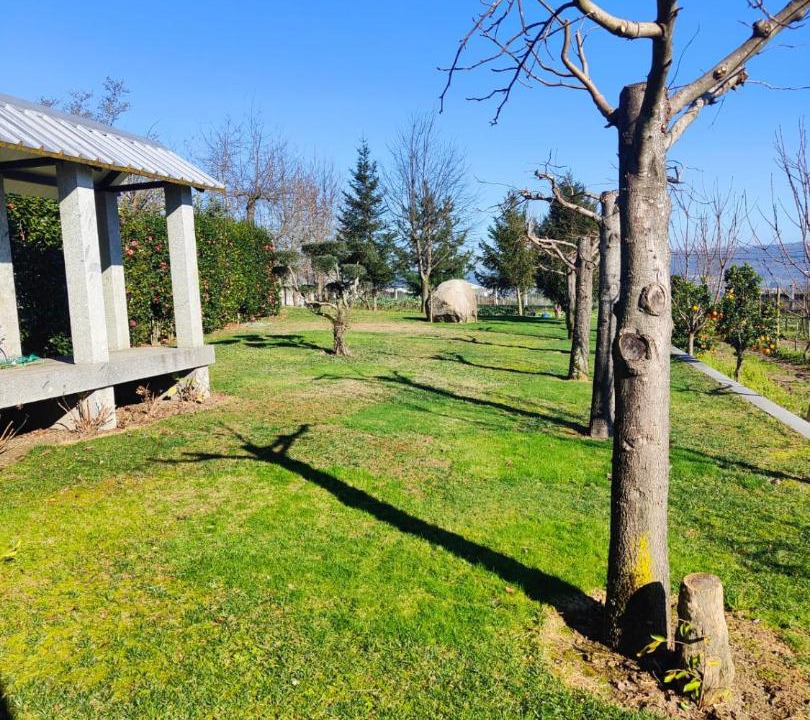 Photo of Others in Felgueiras
