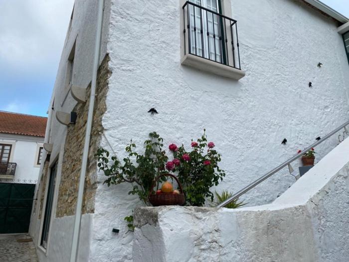 Photo of Others in Juncal