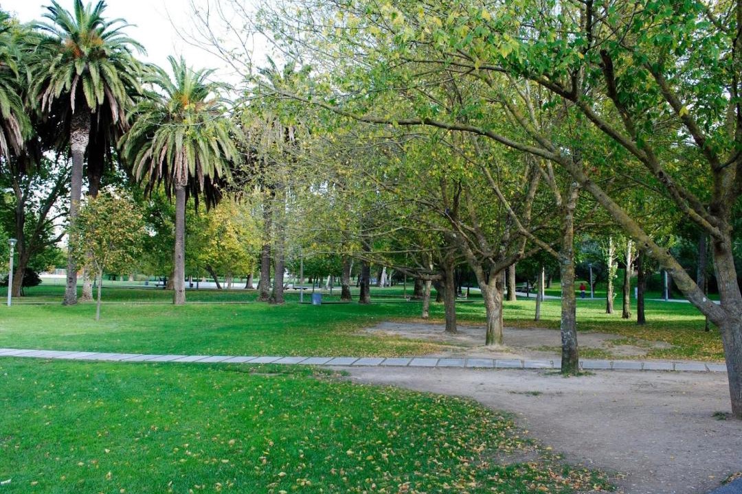 Photo of Others in Lumiar
