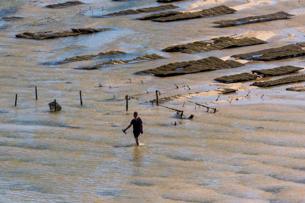Photo of Others in Moncarapacho e Fuseta