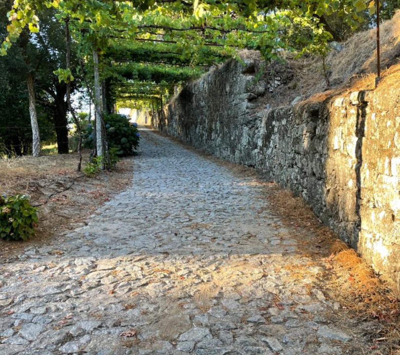 Photo of Others in Pico