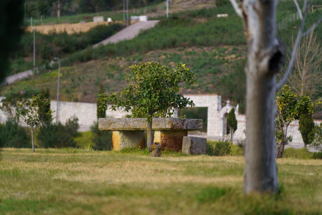 Photo of Others in Constancia