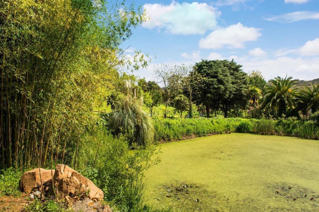 Photo of Outdoor in Montemor-o-Novo