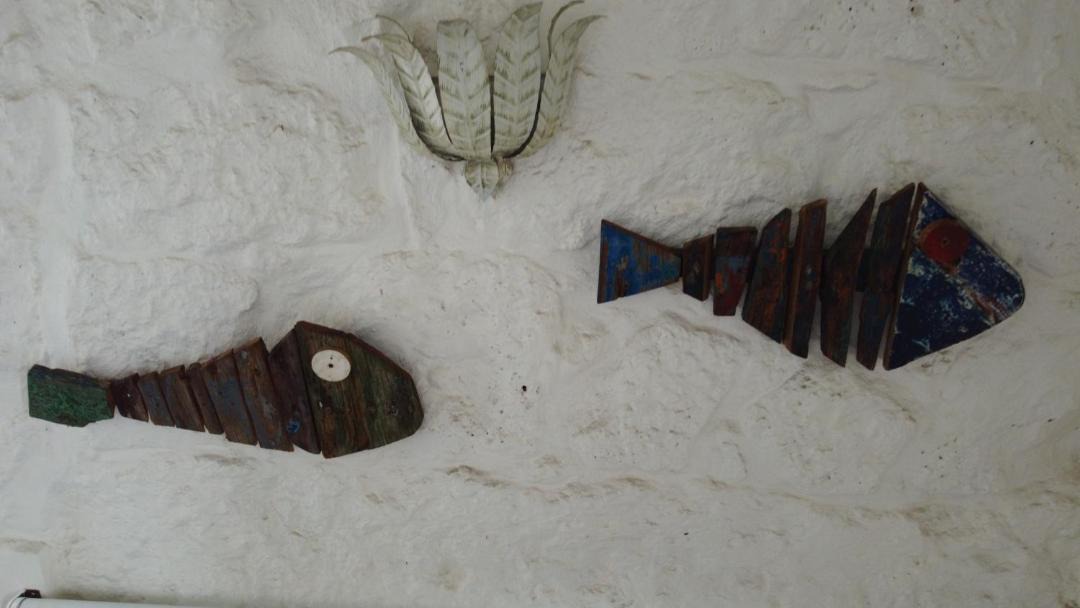 Photo of Others in Lajes do Pico