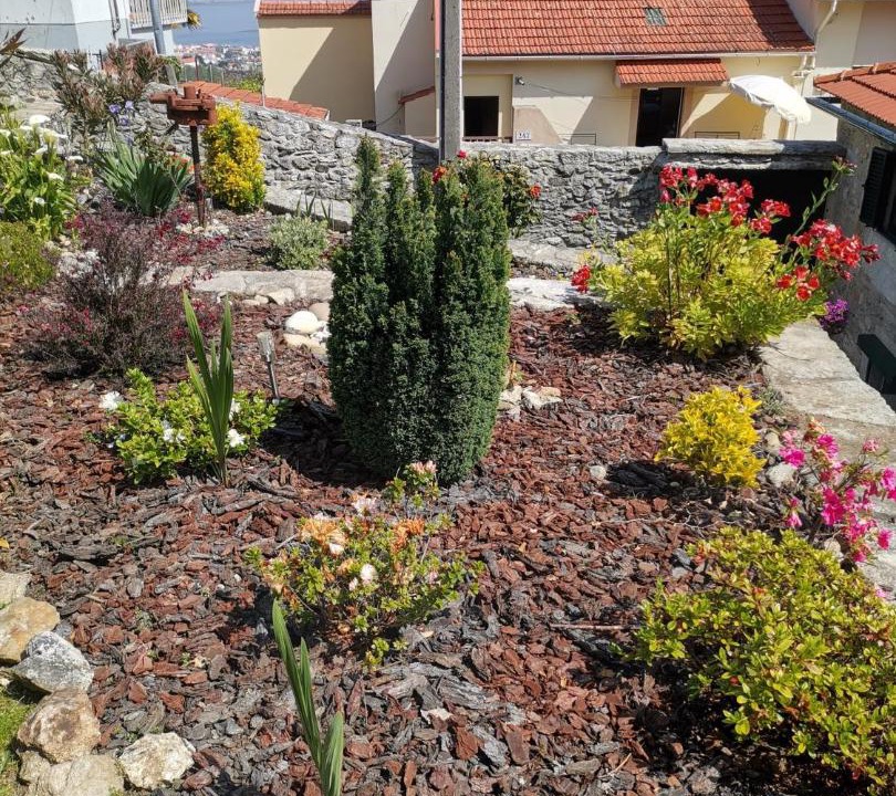 Photo of Others in Vilarelho