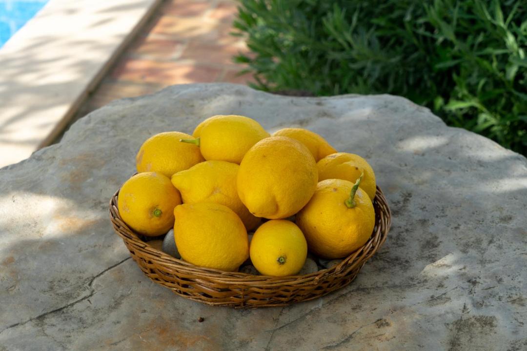 Photo of Others in Sao Bras de Alportel