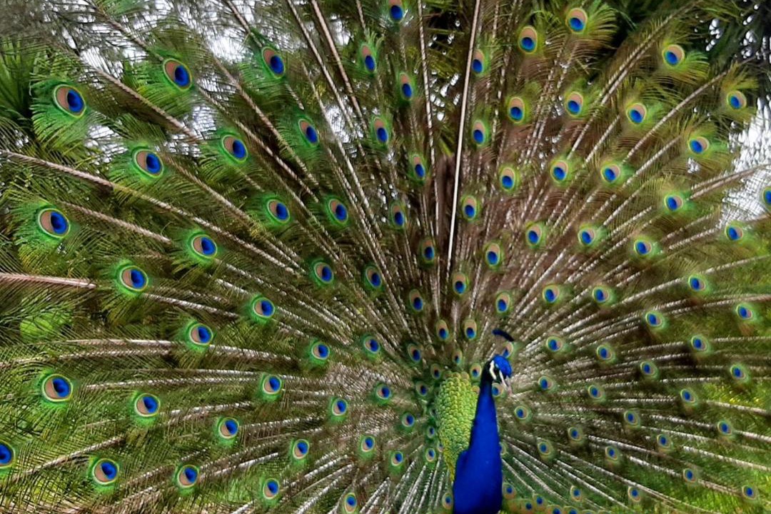 Photo of Others in Sao Luis