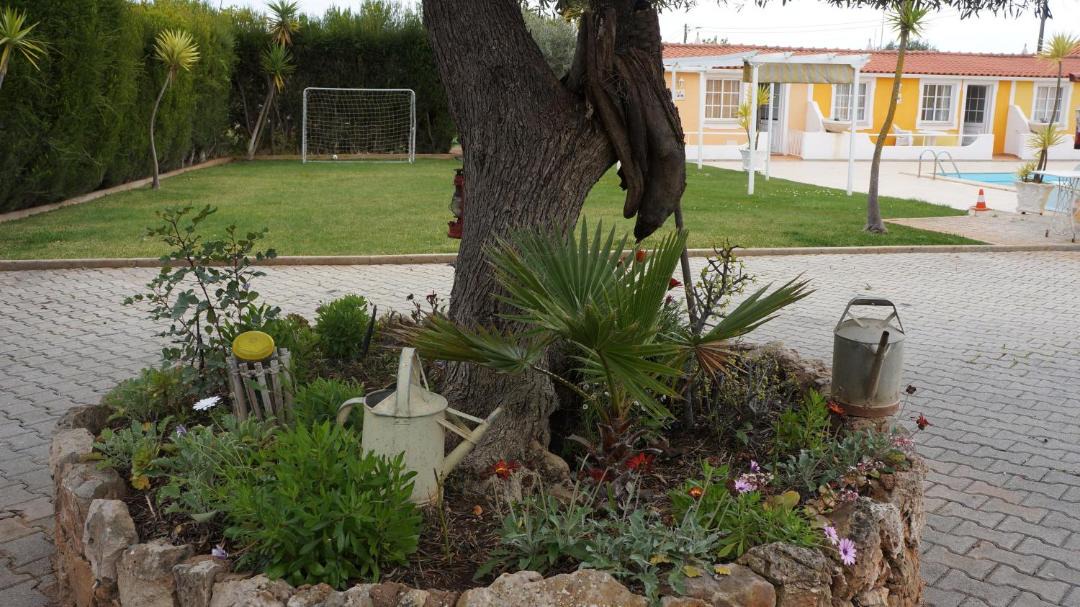 Photo of Others in Albufeira