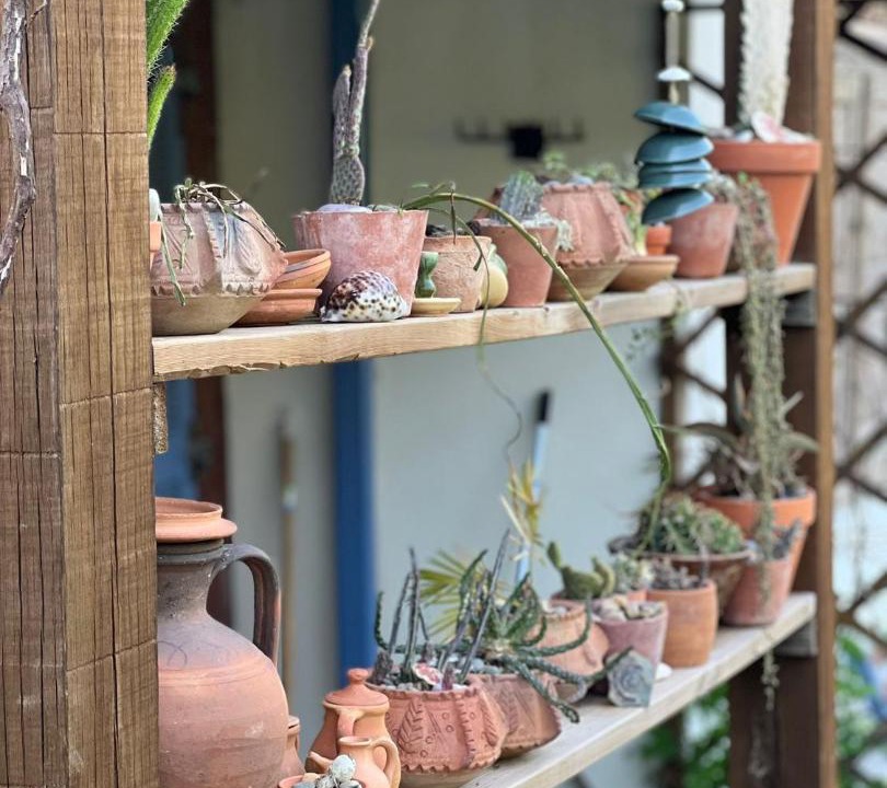 Photo of Others in Castanheira de Pera