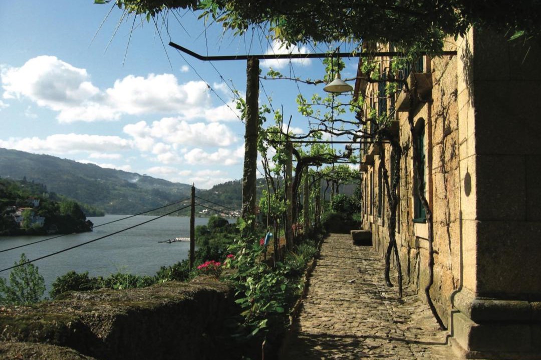 Photo of Others in Oliveira do Douro