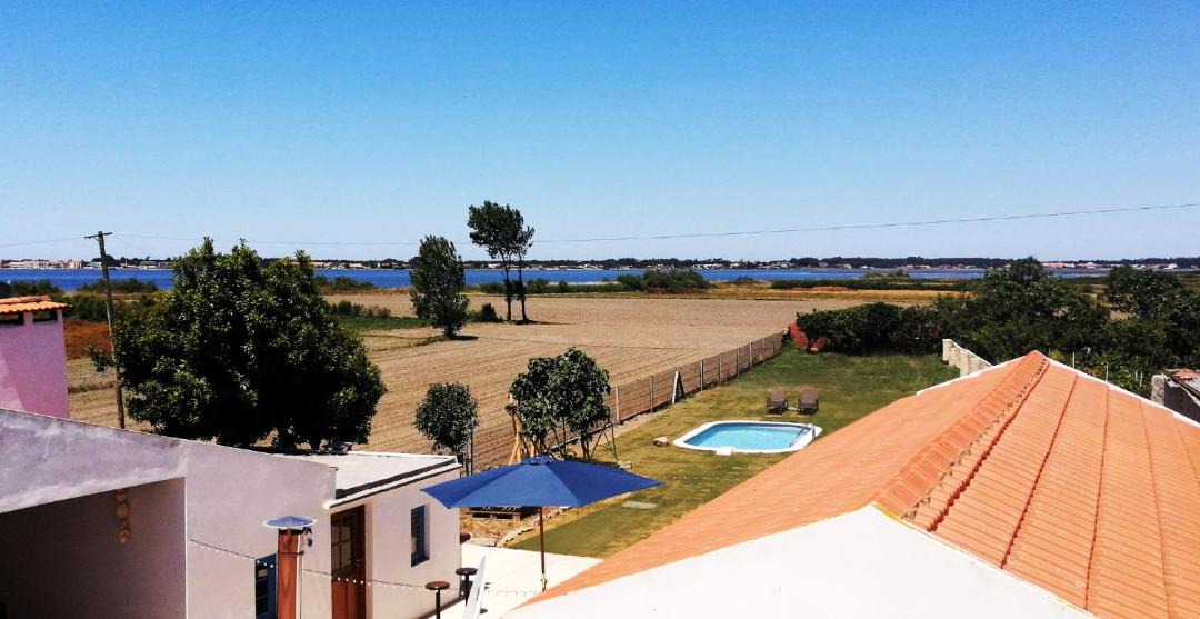 Photo of Others in Murtosa