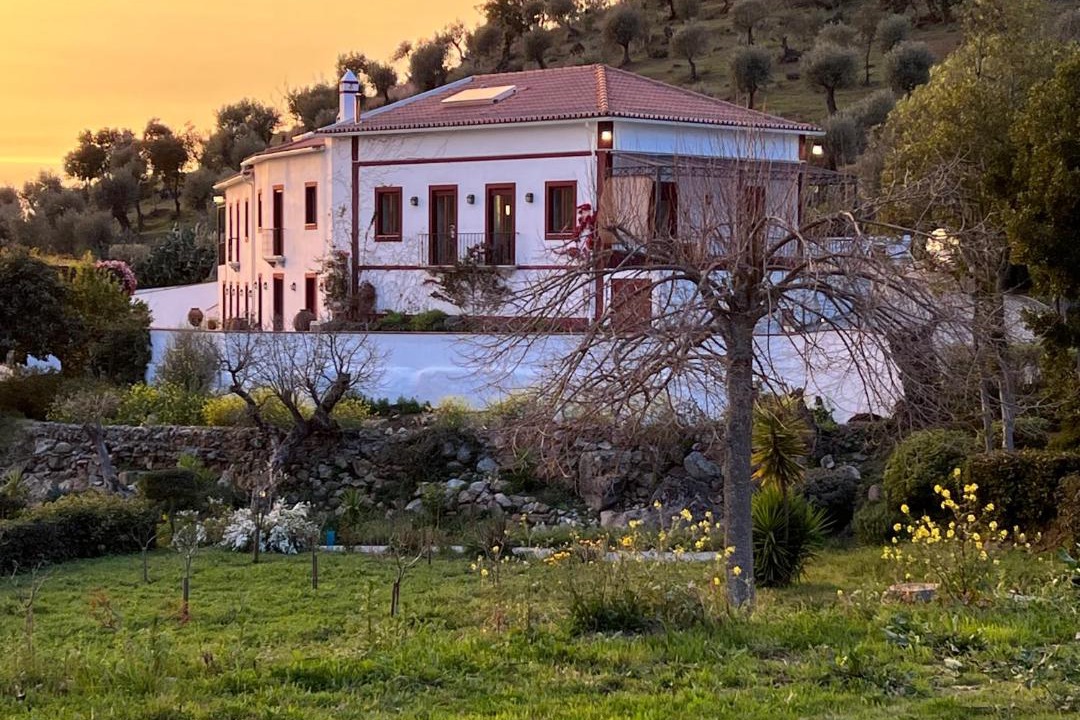 Photo of Others in Montemor-o-Novo