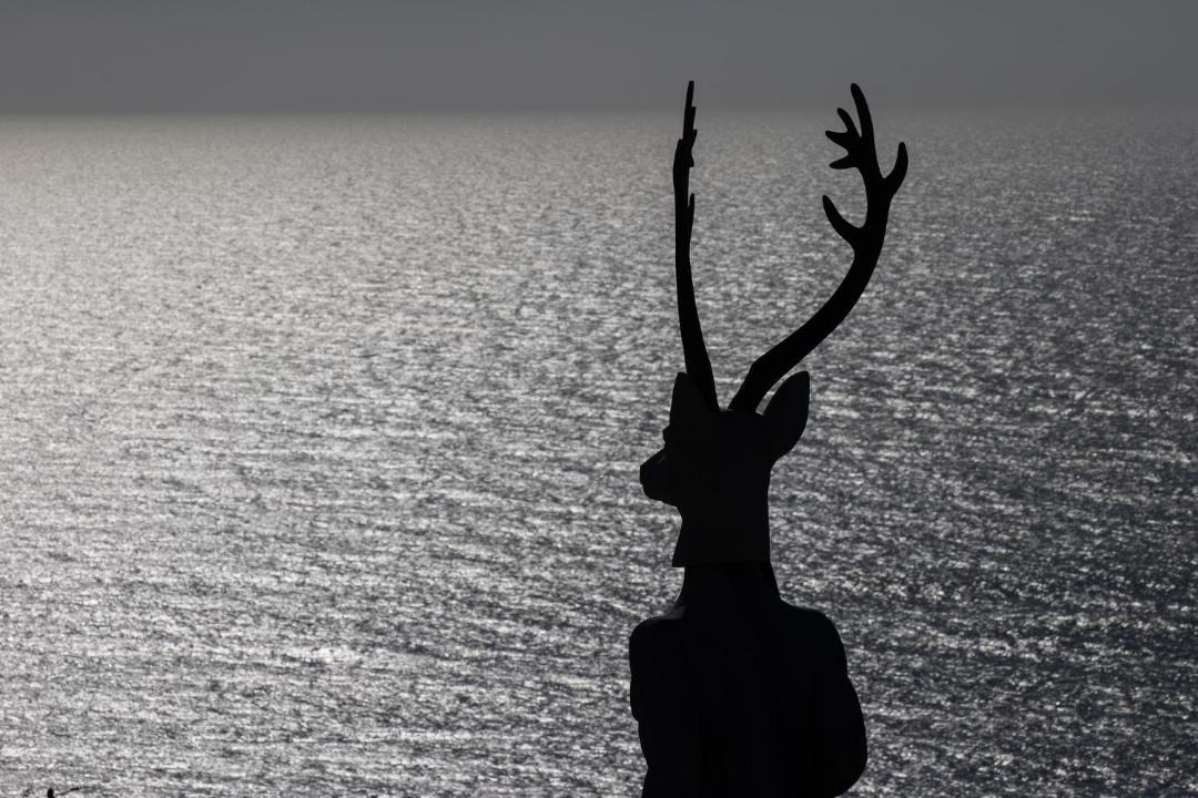 Photo of Others in Nazare