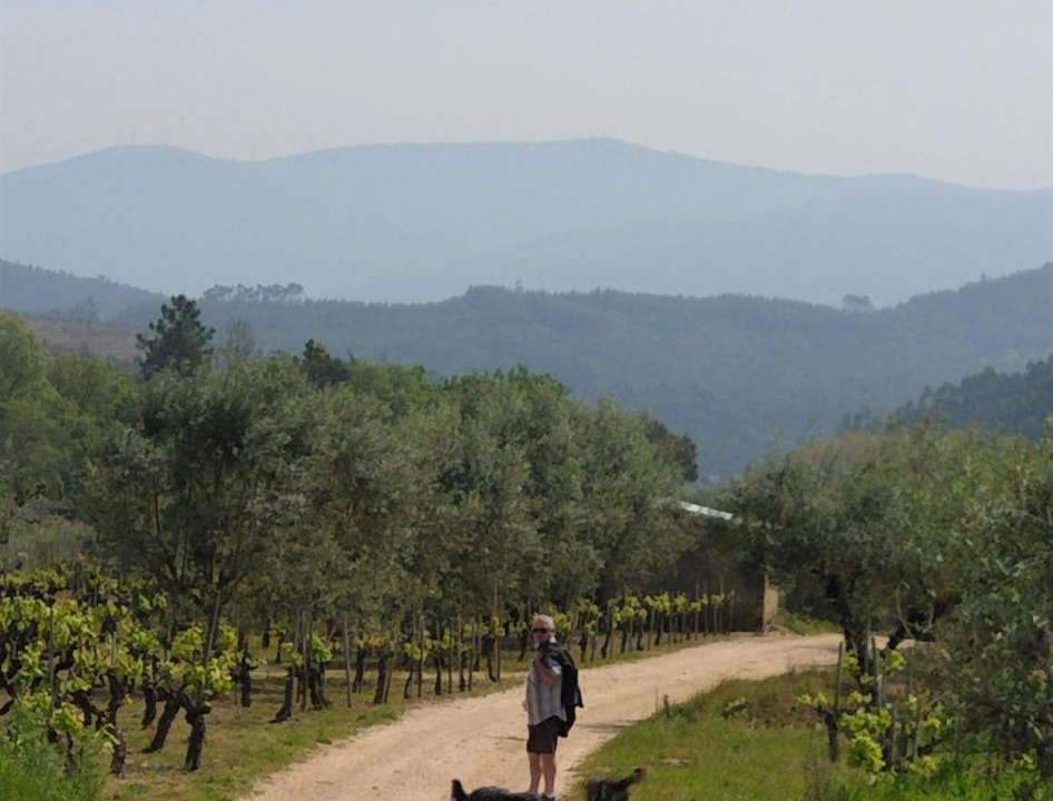 Photo of Others in Miranda do Corvo
