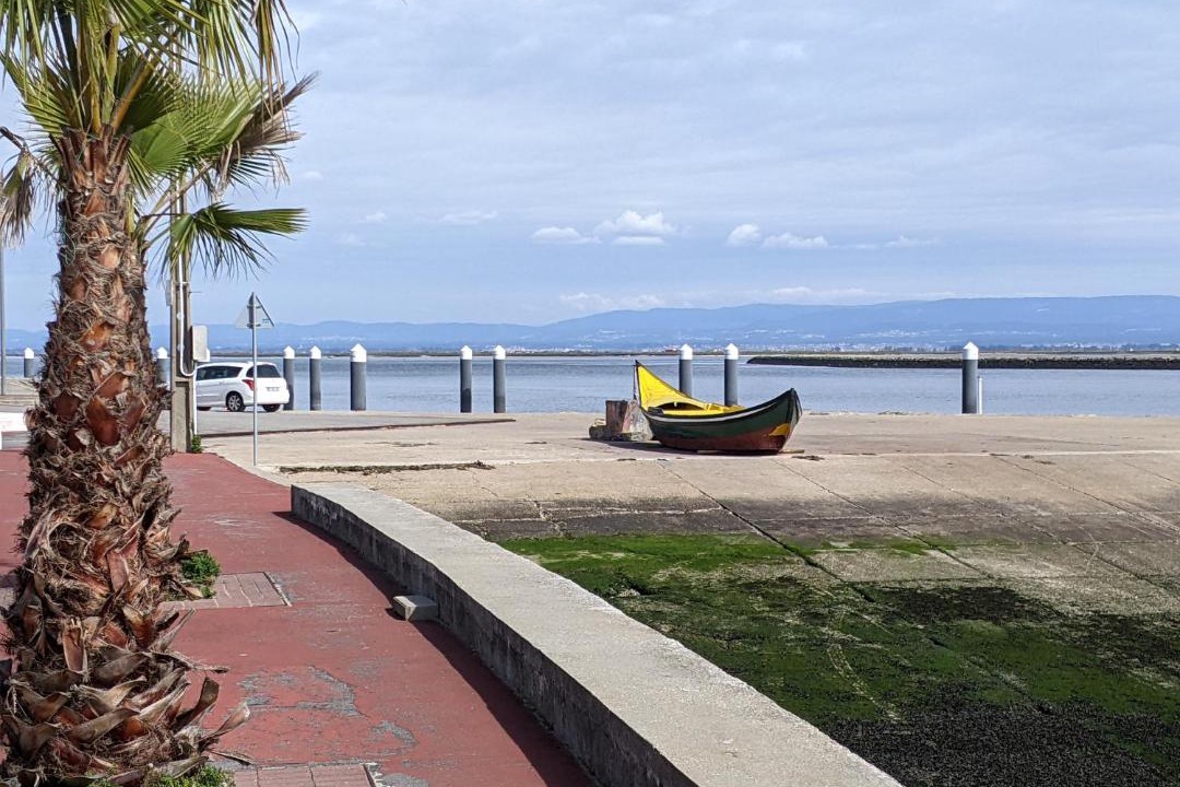 Photo of Others in Sao Jacinto