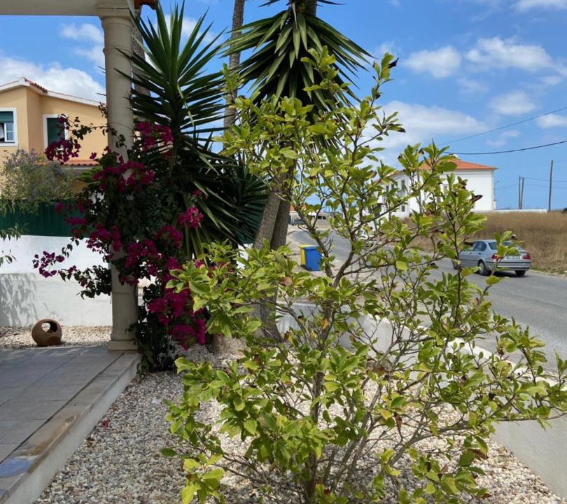 Photo of Others in Obidos
