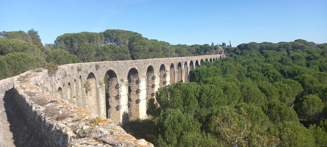 Photo of Others in Tomar