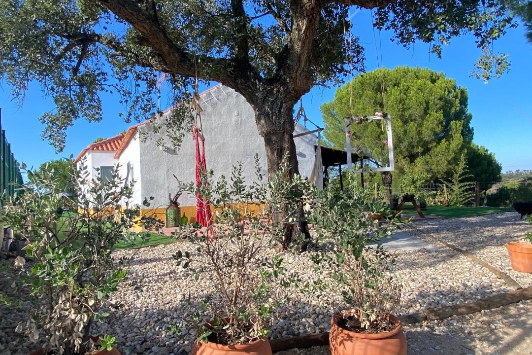 Photo of Others in Montargil