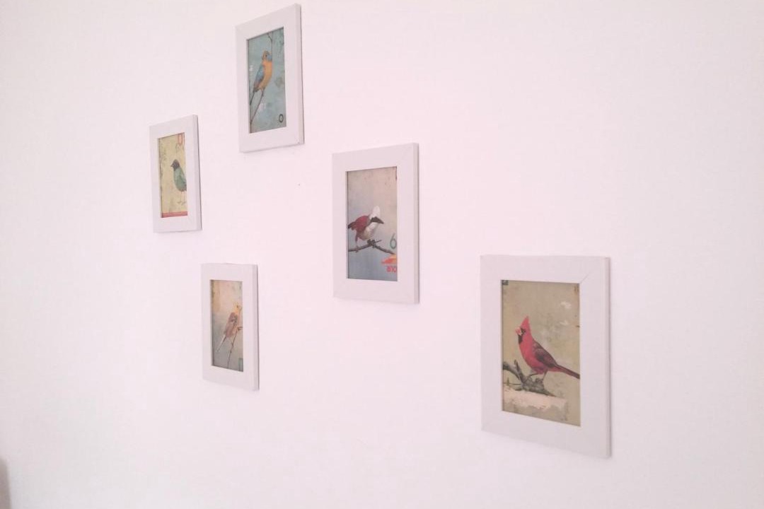 Photo of Others in Vila do Bispo