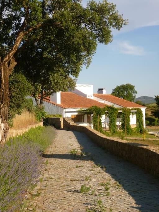 Photo of Others in Castelo de Vide
