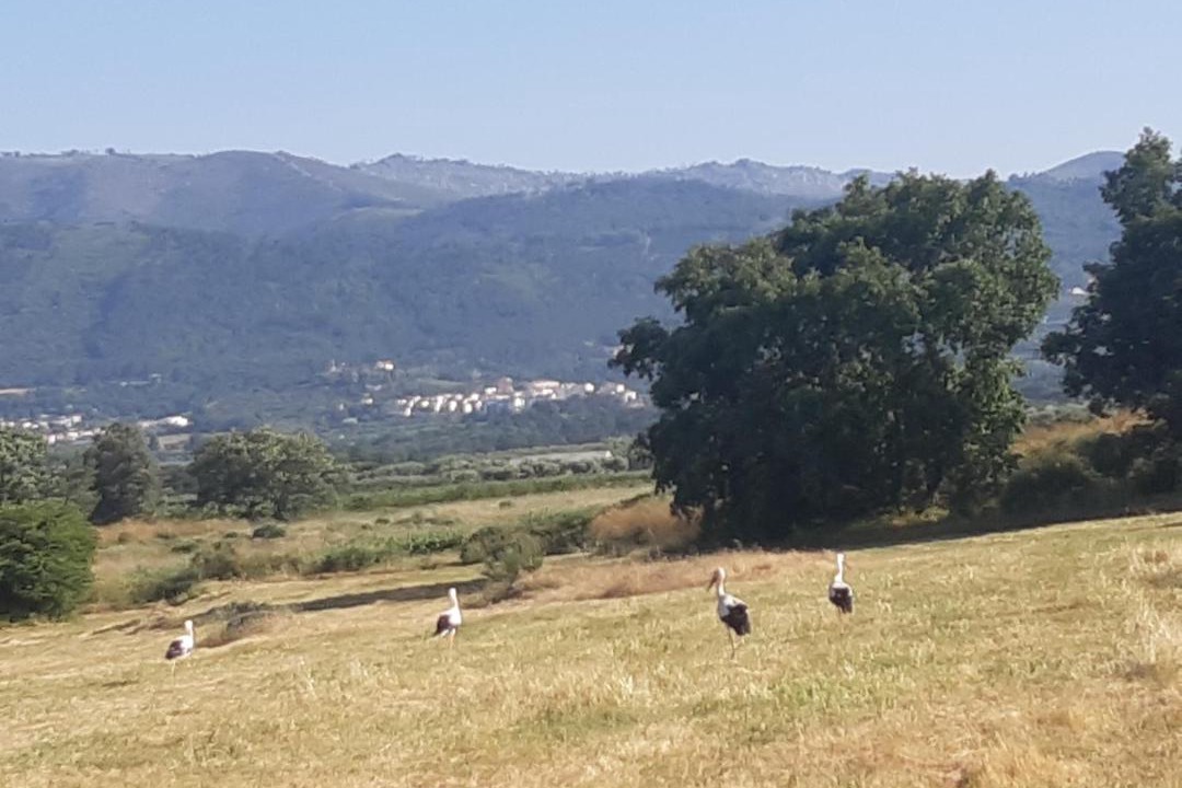 Photo of Outdoor in Fundao
