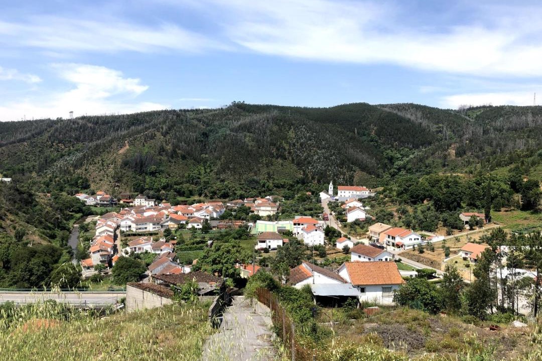 Photo of Others in Gois