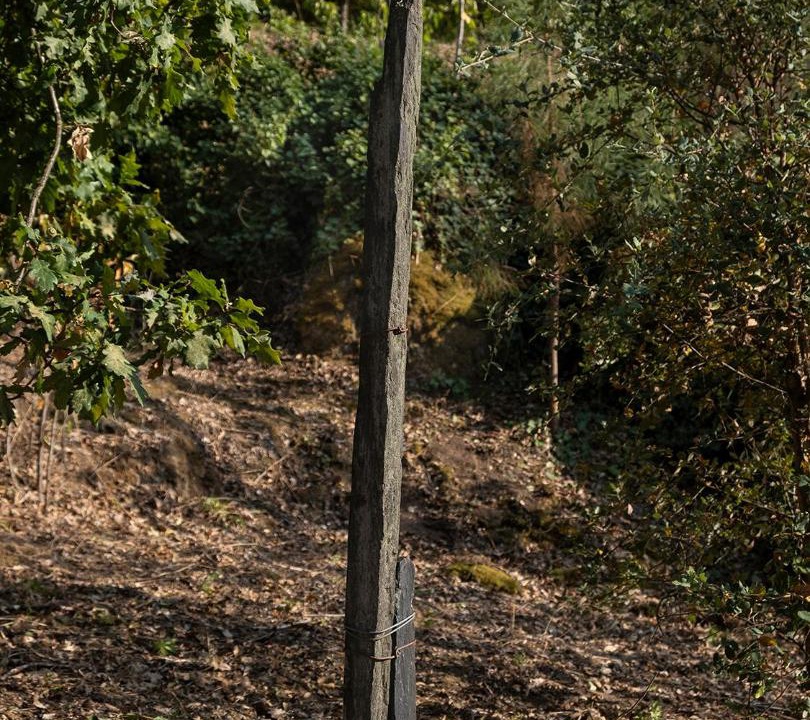 Photo of Others in Barro