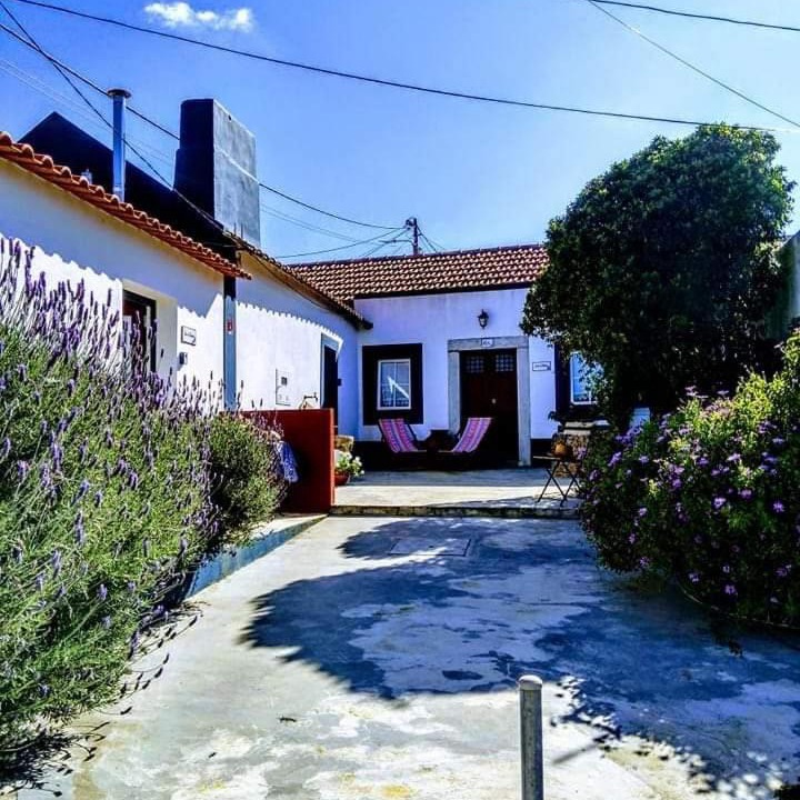 Photo of Others in Setubal