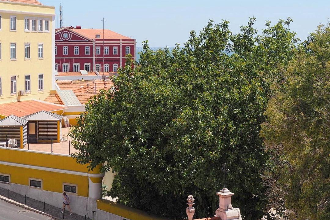 Photo of Others in Santo Estevao