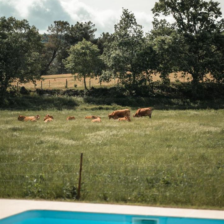 Photo of Others in Guarda