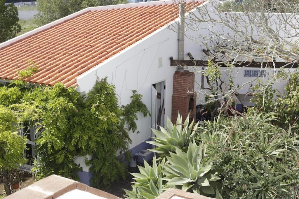 Photo of Buildings in Varzea de Sintra