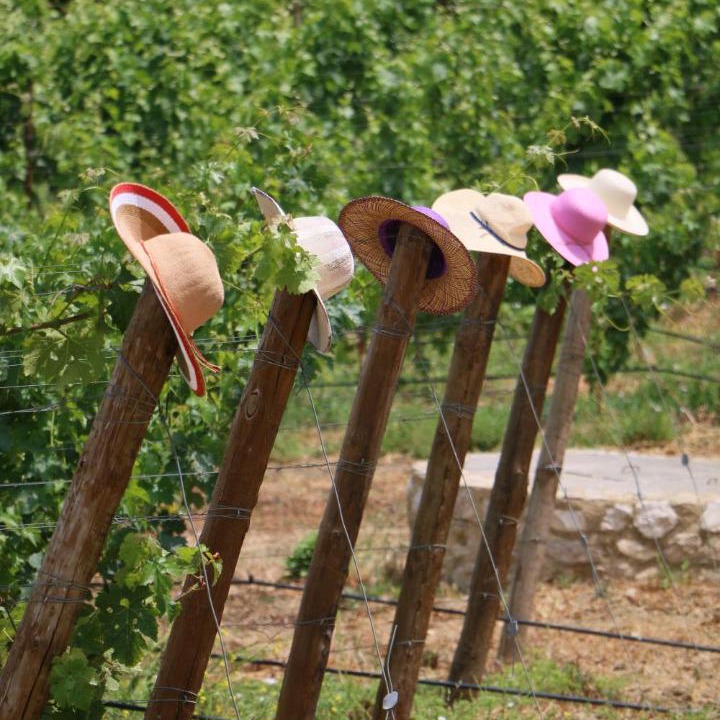 Photo of Others in Sao Simao