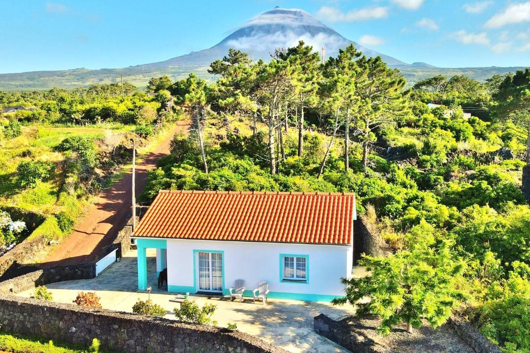 Photo of Others in Sao Roque do Pico