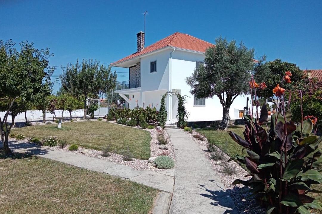 Photo of Others in Santa Maria dos Olivais