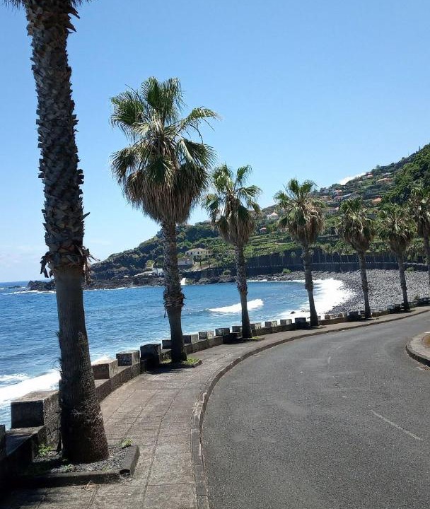 Photo of Others in Porto Moniz