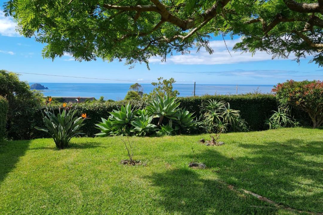 Photo of Others in Lajes do Pico