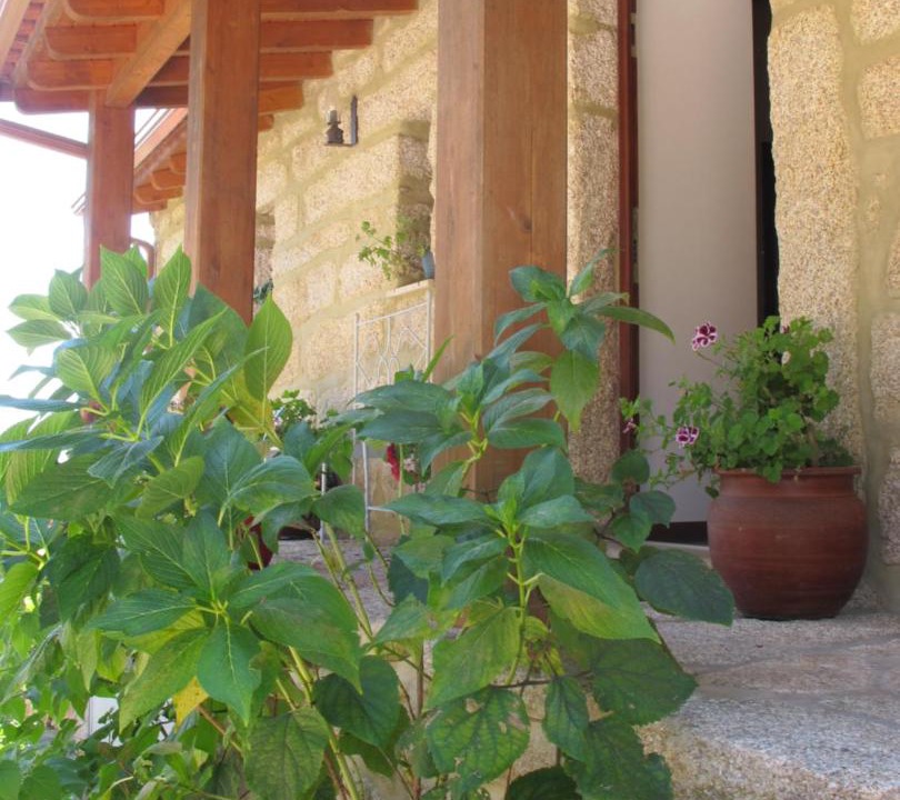 Photo of Others in Arcos de Valdevez