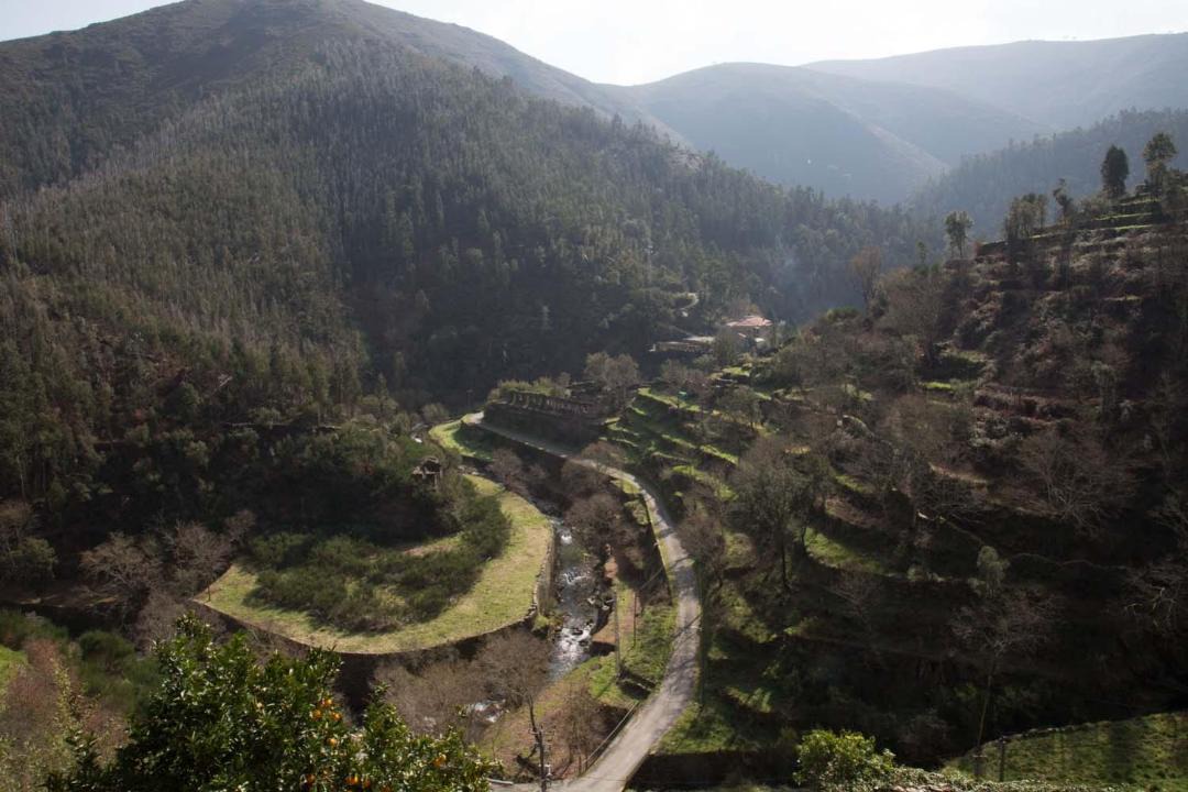 Photo of Others in Arouca