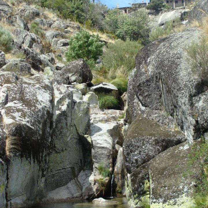 Photo of Others in Covilha