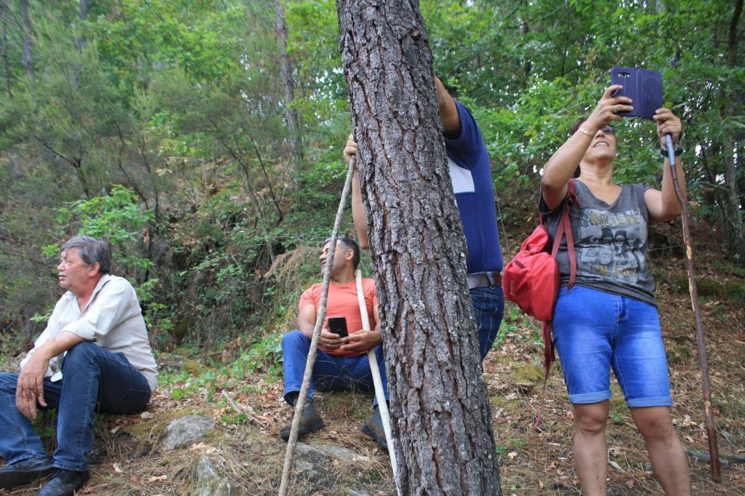 Photo of Others in Outeiro