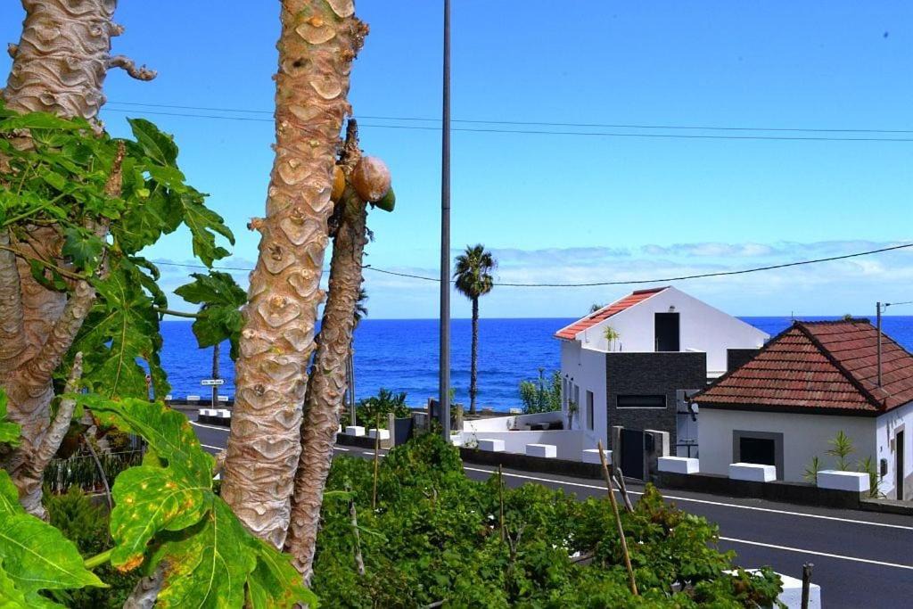 Photo of Others in Porto Moniz