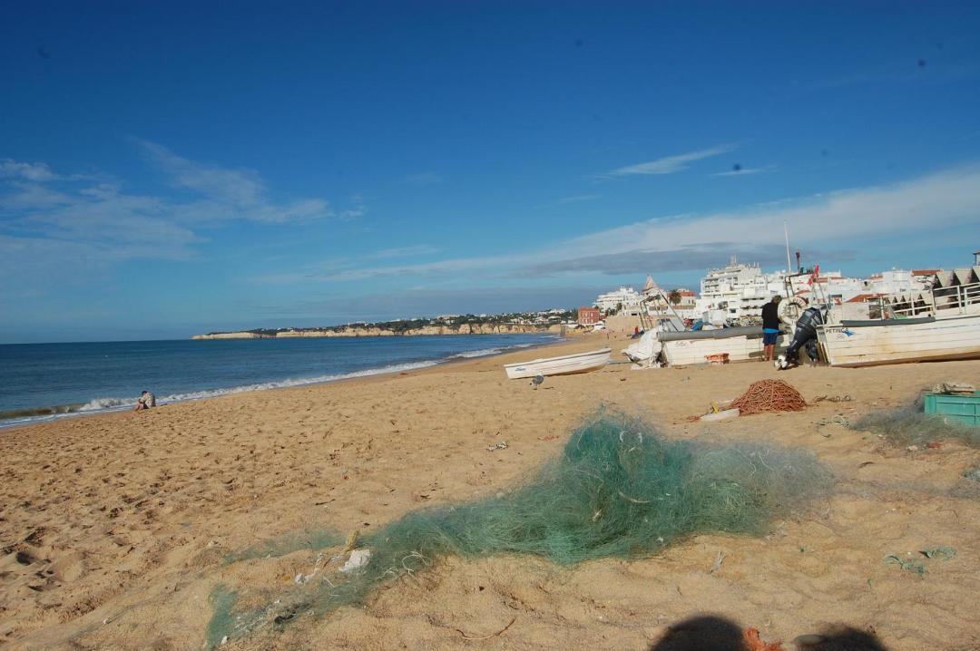 Photo of Others in Alporchinhos