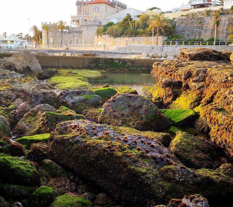 Photo of Others in Estoril