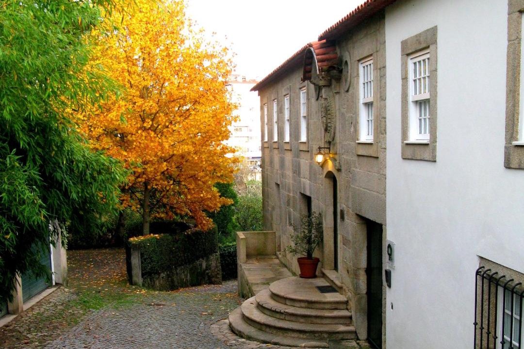 Photo of Others in Sever do Vouga